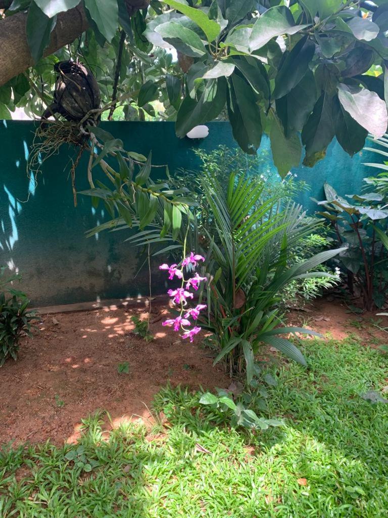 Villa Peace Heaven Galle Εξωτερικό φωτογραφία