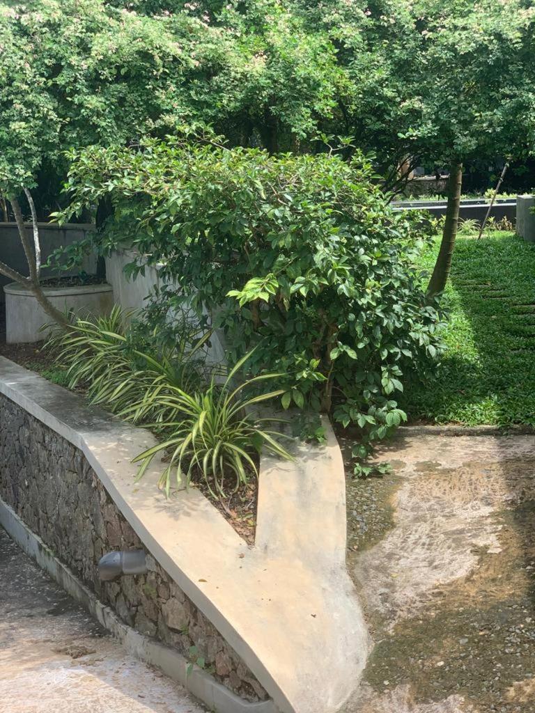 Villa Peace Heaven Galle Εξωτερικό φωτογραφία